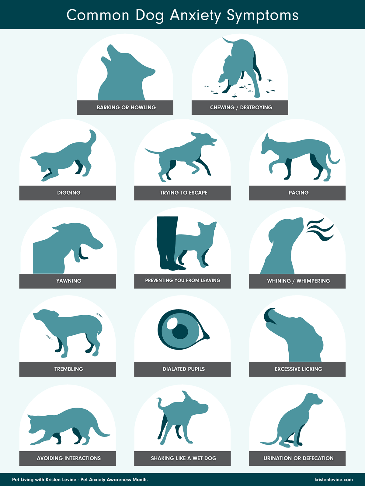 Graphic showing dog anxiety symptoms