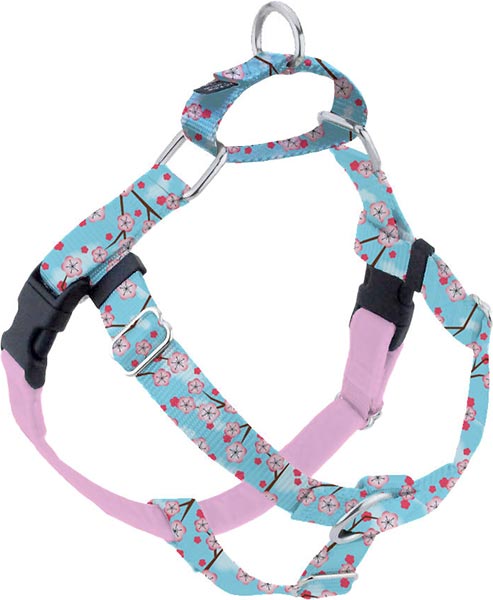 Photo of a Freedom No Pull Harness