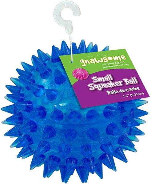 Photo of a Gnawsome Spiky Squeaker Ball Dog Toy