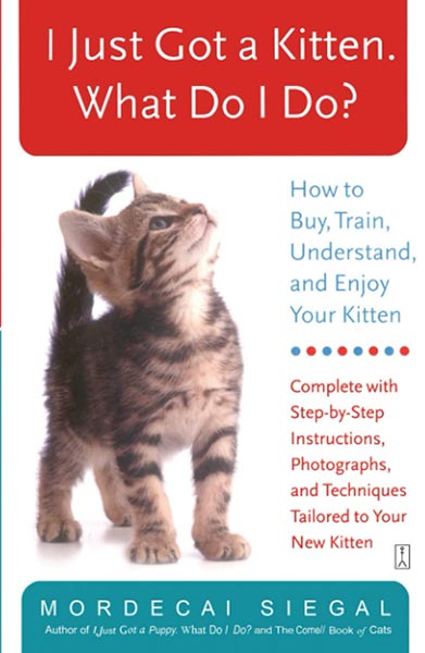 Book cover of I Just Got a Kitten What Do I Do