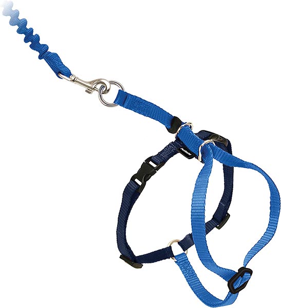 Photo of a blue PetSafe Come With Me Kitty Harness and Bungee Leash