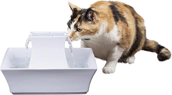 Photo of a cat drinking from a PetSafe Drinkwell Pagoda