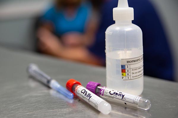 Photo of Chilly's Test tubes at the vet