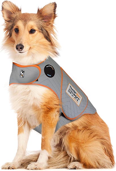 Photo of a dog wearing a ThunderShirt