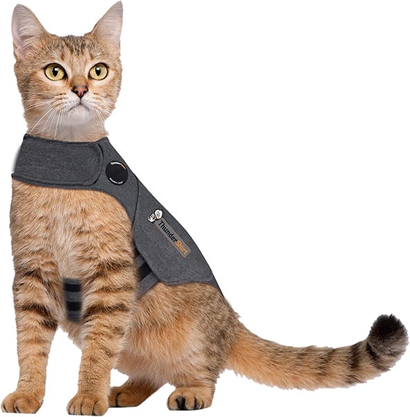 Photo of a cat wearing a Thundershirt Classic Cat Anxiety Jacket