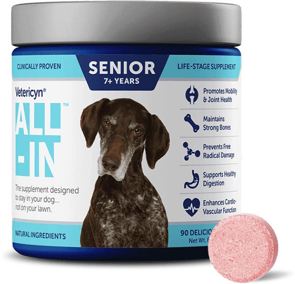 Photo of a jar of Vetericyn ALL-IN supplement for Senior Dogs