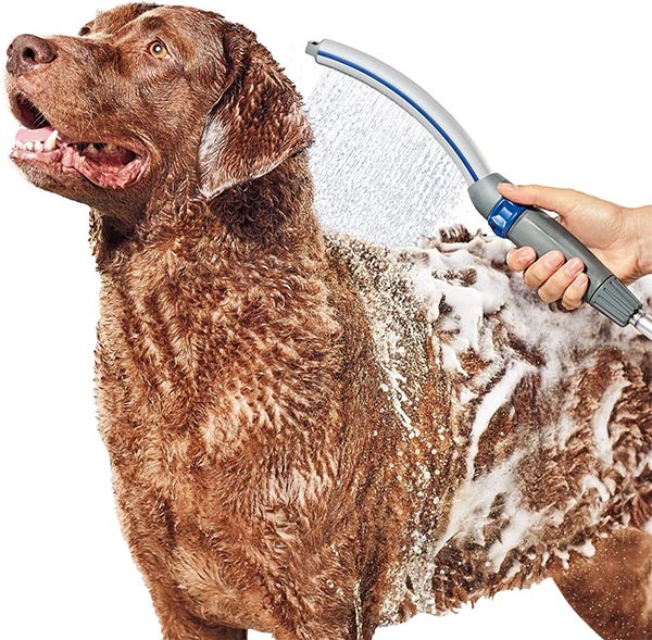 Photo of someone washing a dog with a Waterpik PPR 252 Pet Wand Pro Shower Sprayer Attachment