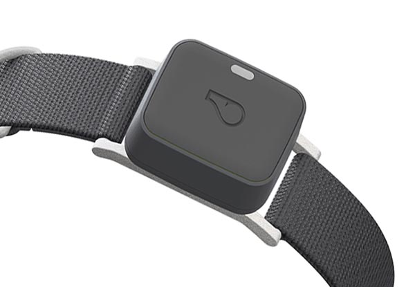 Photo of a Whistle Pet Tracker